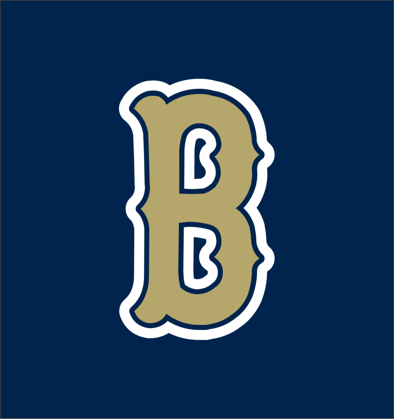 Braves Baseball Academy - Bagger Sports