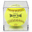 BallQube Softball Display Case