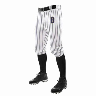 Champro Sports Braves Baseball Triple Crown Pinstripe Knickers - Adult