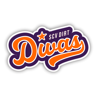 Bagger Sports SCV Dirt Divas Decals