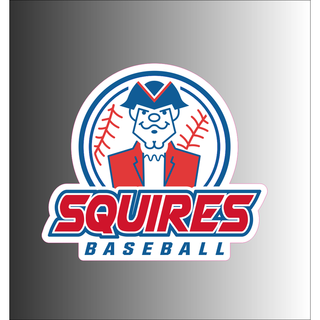 Squires Baseball Window Decal