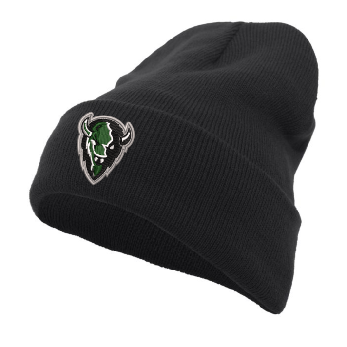 NFL Philadelphia Eagles Vista Knit Beanie