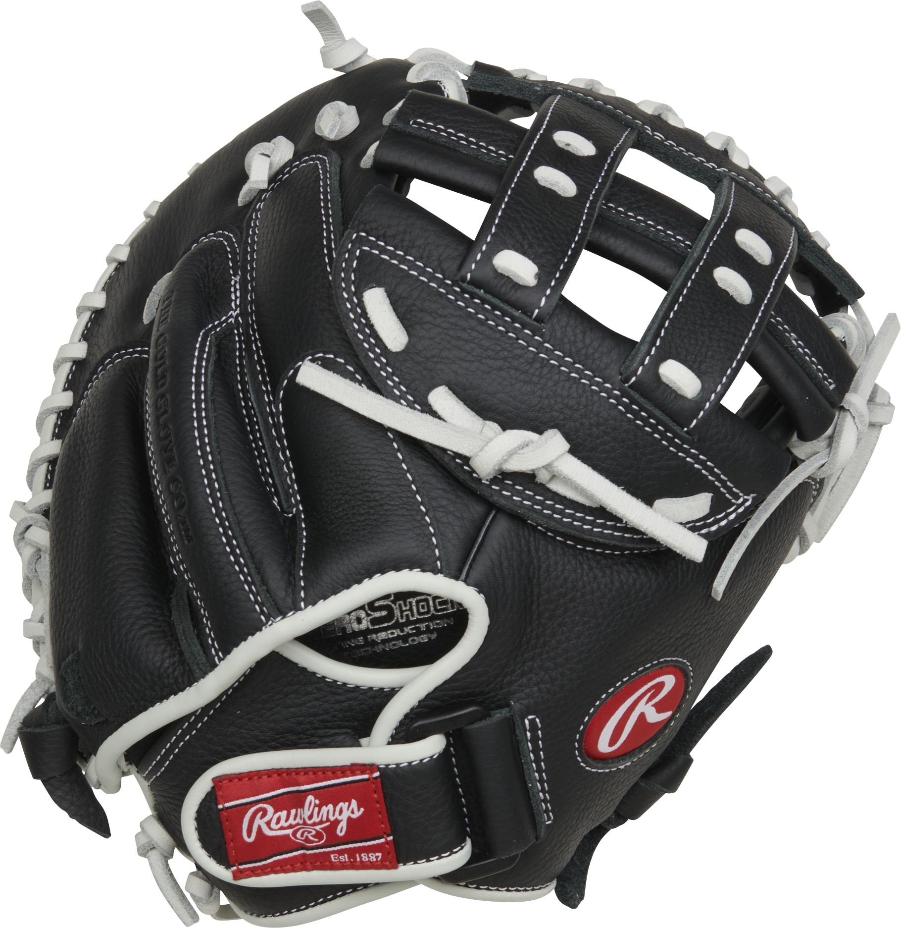 Rawlings Shut Out 31.5