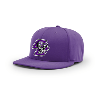 Richardson Cap Chavez Softball PTS20 Solid  Purple Cap