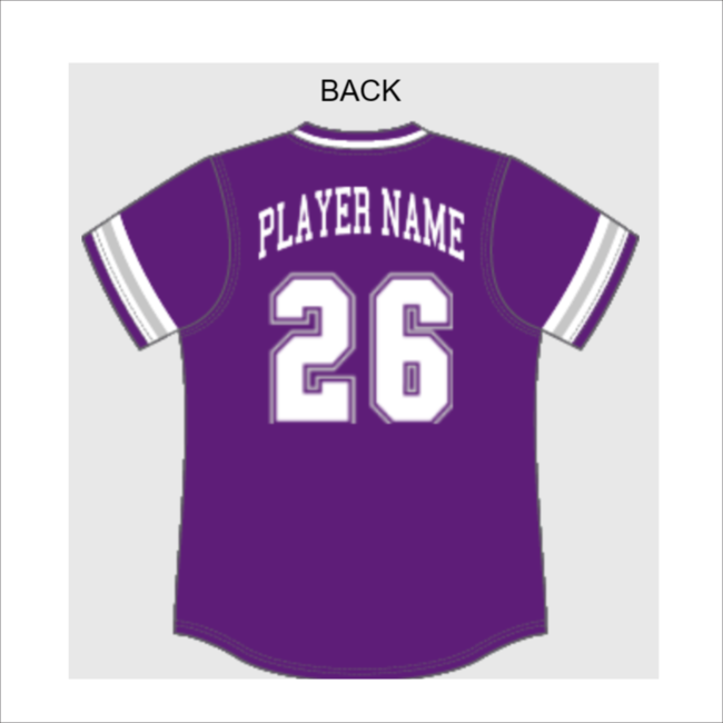 Chavez Softball Custom V-Neck Purple Jersey