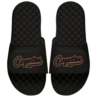 Islide AV Coyotes Baseball Custom  Mantra Slides