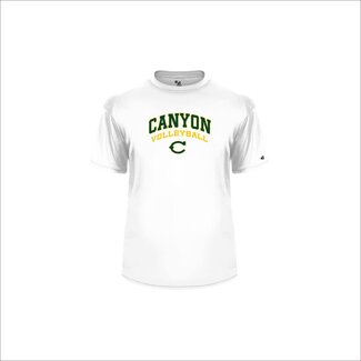 Badger Canyon Boys VB Sublimated Dry Fit - 4120 Adult