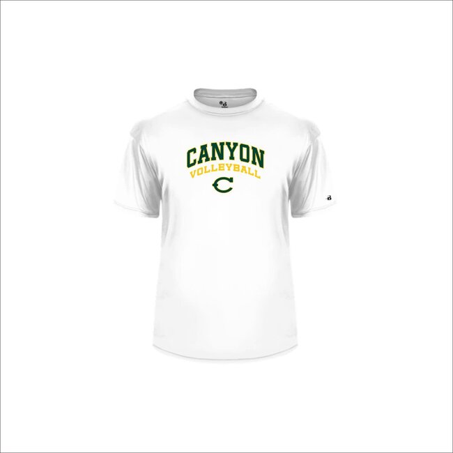 Canyon Boys VB Sublimated Dry Fit - 4120 Adult