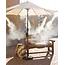 ExtremeMIST Portable Misting System (Pro Kit) w/ Storage Box