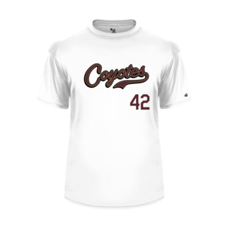 Badger AV Coyotes Baseball Sublimated Script Logo Jersey