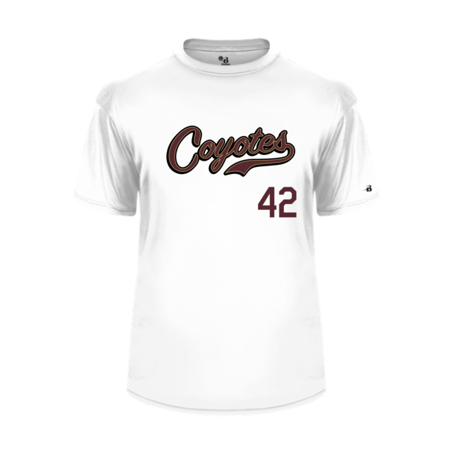 AV Coyotes Baseball Sublimated Script Logo Jersey