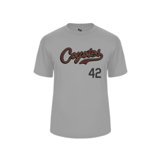 Badger AV Coyotes Baseball Sublimated Script Logo Jersey