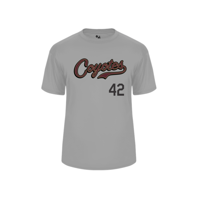 AV Coyotes Baseball Sublimated Script Logo Jersey