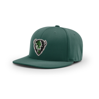 Richardson Cap Sierra Vista Richardson PTS20  Cap