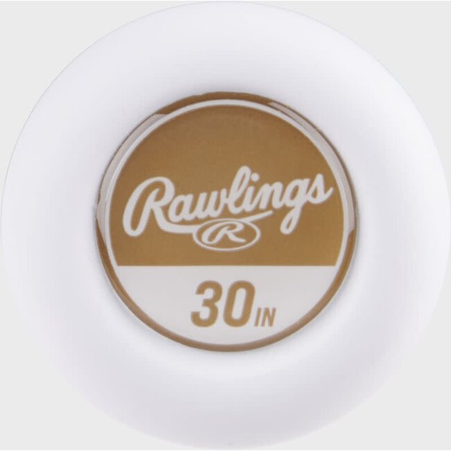 2025 Rawlings Icon (-10) USSSA Baseball Bat - RUT5I10