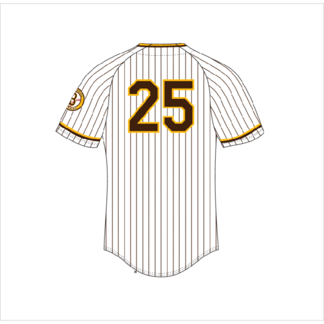 Braves Baseball Rawlings Custom Pinstripe Full Button Jersey