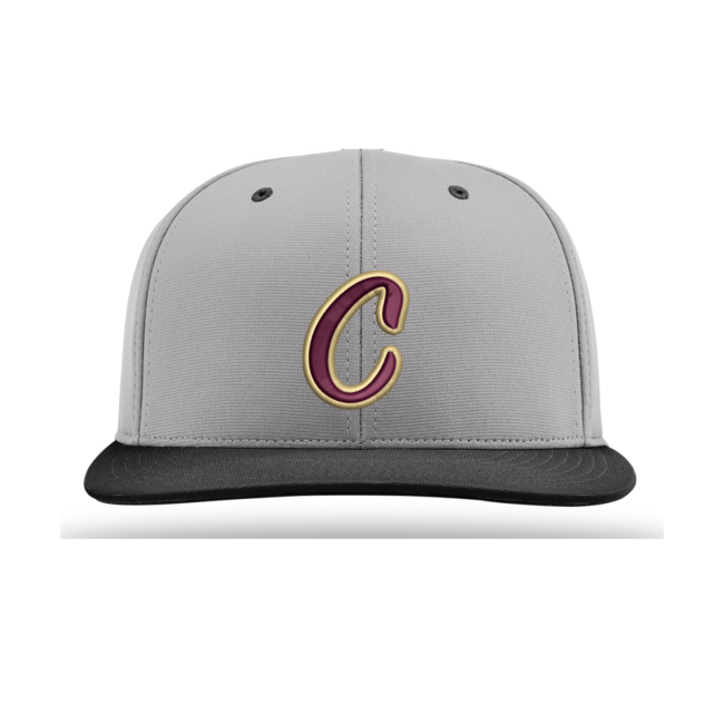 AV Coyotes Baseball Richardson PTS20 Flexfit Cap