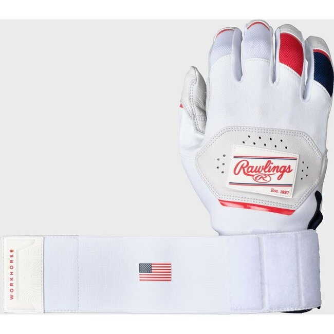 Rawlings Youth Workhorse with Compression Strap Batting Gloves - WH25CYBG