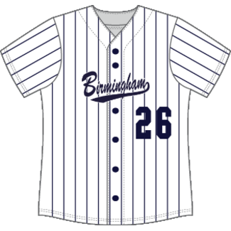 Alleson Birmingham Softball Jersey