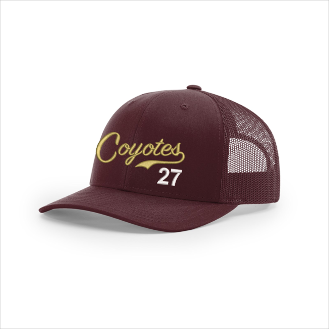 AV Coyotes Baseball 112 Snapback Cap with Script Logo/#