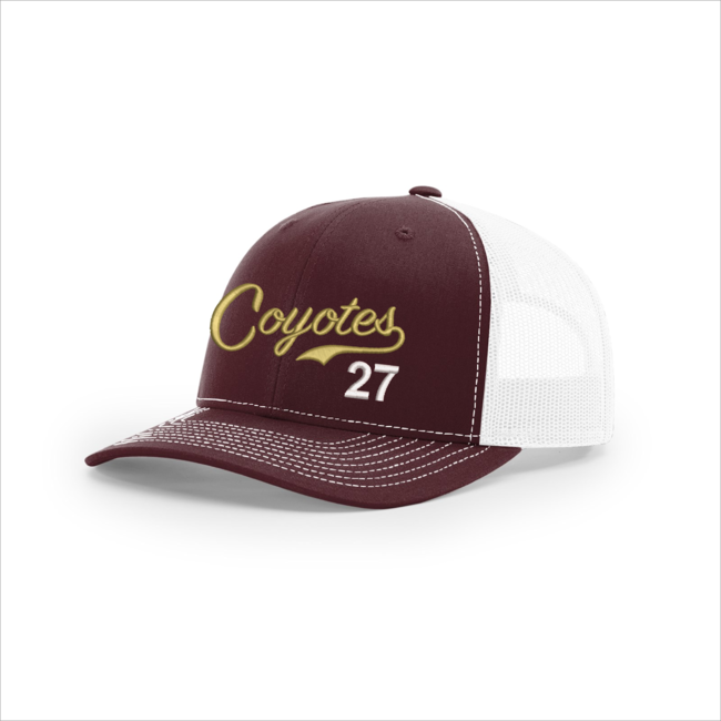 AV Coyotes Baseball 112 Snapback Cap with Script Logo/#
