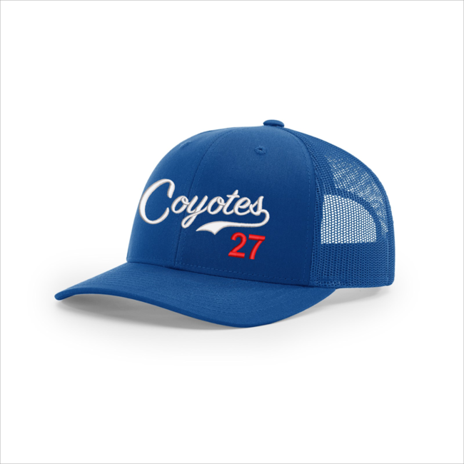 AV Coyotes Baseball 112 Snapback Cap with Script Logo/#