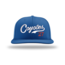 AV Coyotes Baseball Richardson PTS20 Flexfit Cap - Script w/#