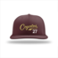 AV Coyotes Baseball Richardson PTS20 Flexfit Cap - Script w/#