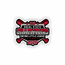 ELL 2025 11U State Champions Decal