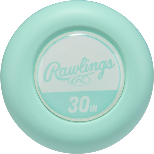 2026 Rawlings Icon (-10) USSSA Baseball Bat - RUT6I10