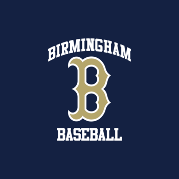 Birmingham Baseball