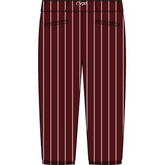 Alleson AV Coyotes Softball Custom Softball Pant