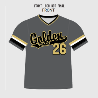 Alleson GV Baseball Custom Varsity Graphite Jersey