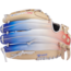 Easton Professional Collection Color Splash 12" Infield Fastpitch Glove - PCFP120-15C