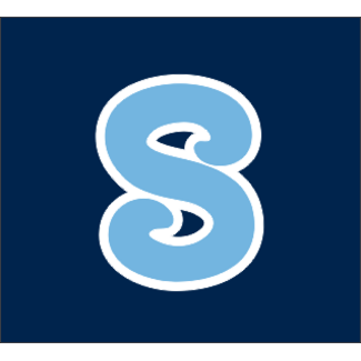 Bagger Sports Sylmar Baseball 3D Helmet Decal