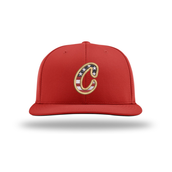 AV Coyotes Baseball Richardson USA PTS20 Flexfit Cap