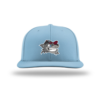 Richardson Cap AV Coyotes City Connect PTS20 Cap