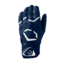 Evoshield Adult Carbyne Batting Glove - WB574260