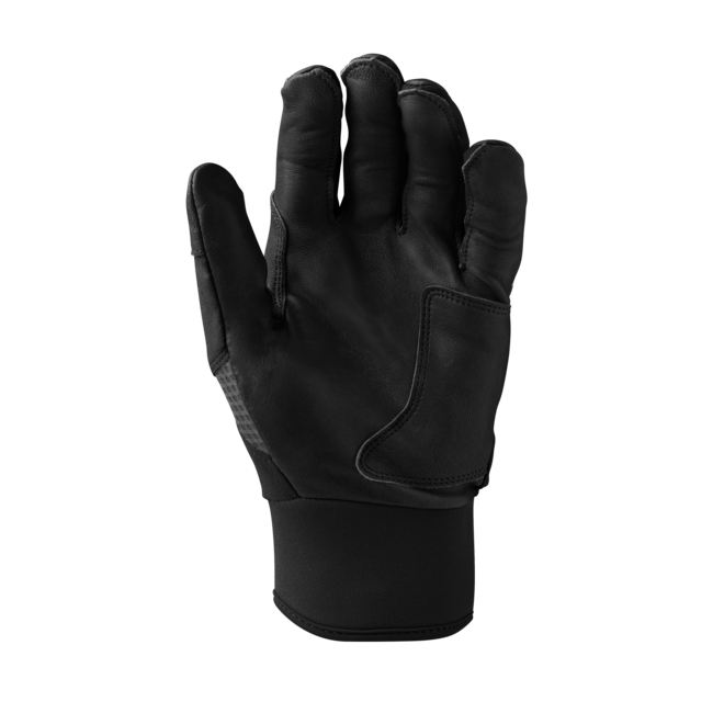 Evoshield Youth Carbyne Batting Glove - WB574260