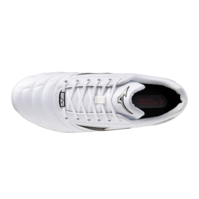 Mizuno Men's Pro Select TPU Molded Baseball Cleat - 320722