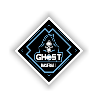 Bagger Sports Ghost Diamond Decal