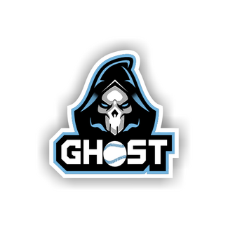 Bagger Sports Ghost Decal