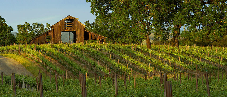 Exploring Sonoma County in 2 Days