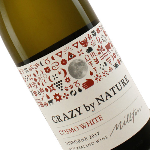 Crazy by Nature 2017 Cosmo White Gisborne, New Zealand Crazy by Nature 2017 Cosmo White Gisborne, New Zealand