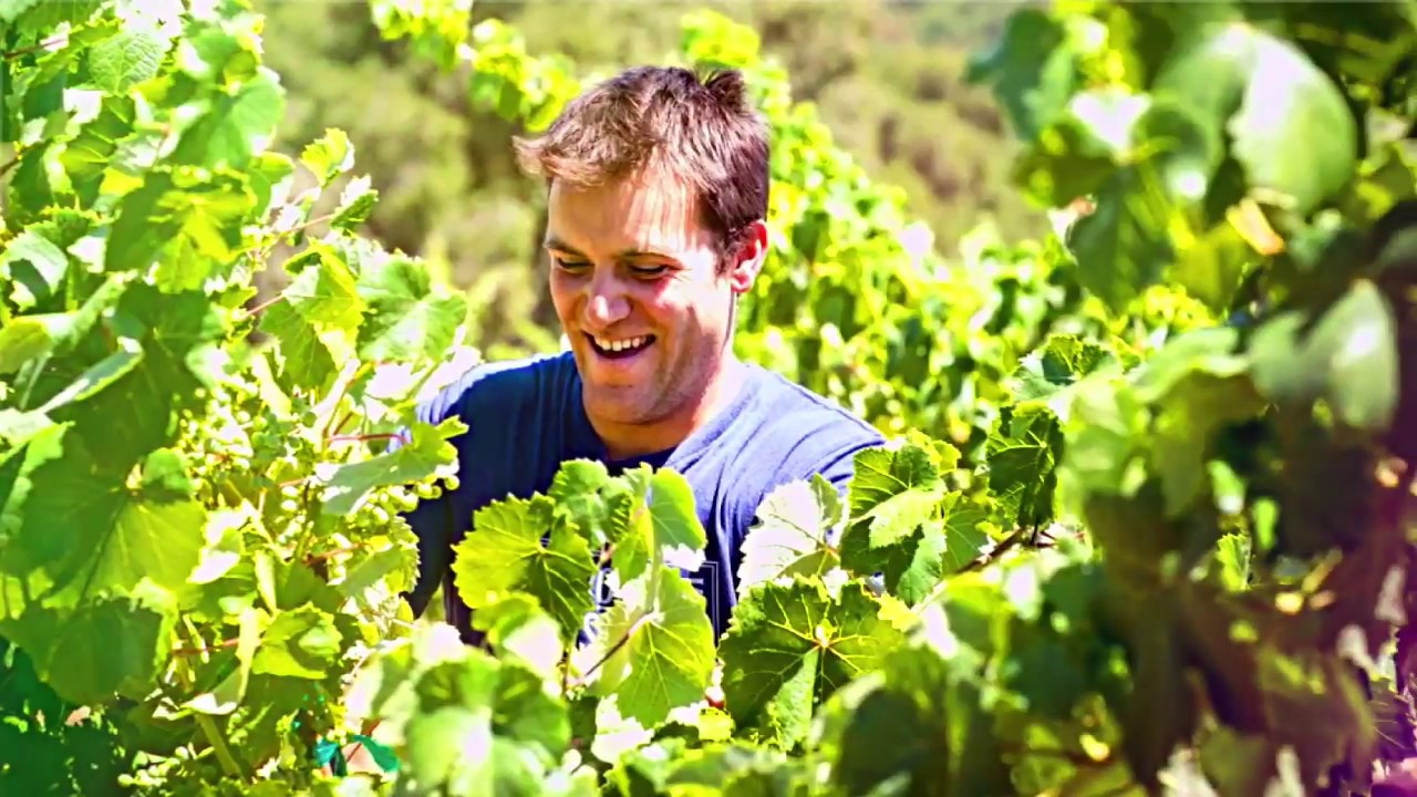 A Young Winemaker on a Mission