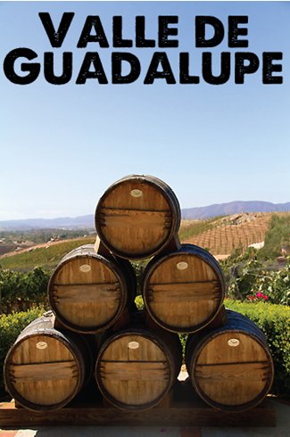 The New Wine Craze: Valle de Guadalupe, Baja, Mexico