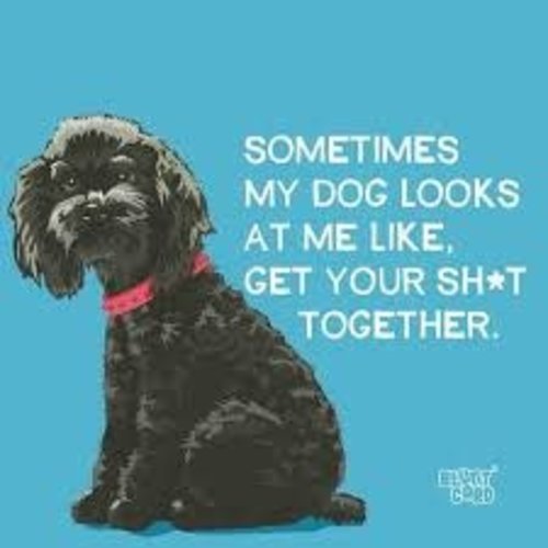 Napkin - PPD Sometimes My Dog Looks... Napkin - PPD Sometimes My Dog Looks...