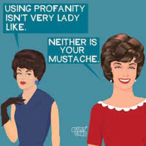 Napkin - PPD Using Profanity Isn't.. Napkin - PPD Using Profanity Isn't..