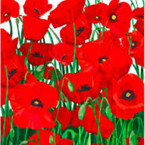 Napkin - PPD - Red Poppies