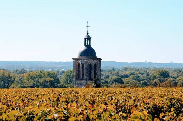 Triumphant White Wines